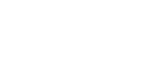 Iconic Core Logo